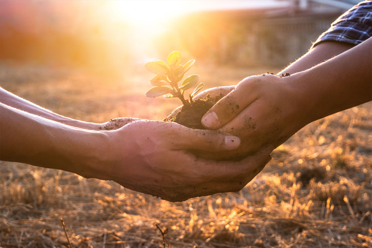 Soil-Fertility-Management-a-tool-for-combating-malnutrition-in-Zimbabwe Soil-Fertility-Management-a-tool-for-combating-malnutrition-in-Zimbabwe