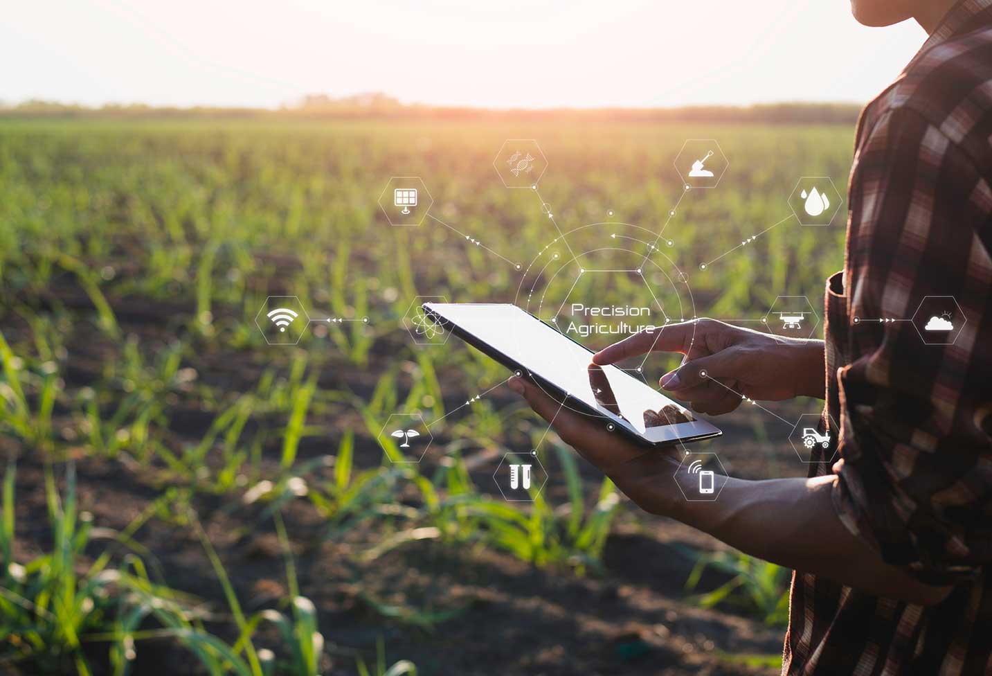 precision-agriculture precision-agriculture