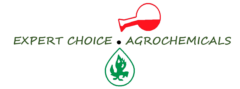 Expert-Choice-Profile-logo-transparent