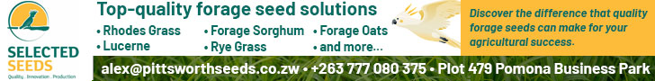 728x90-Banner-Ad-Selected-Seeds