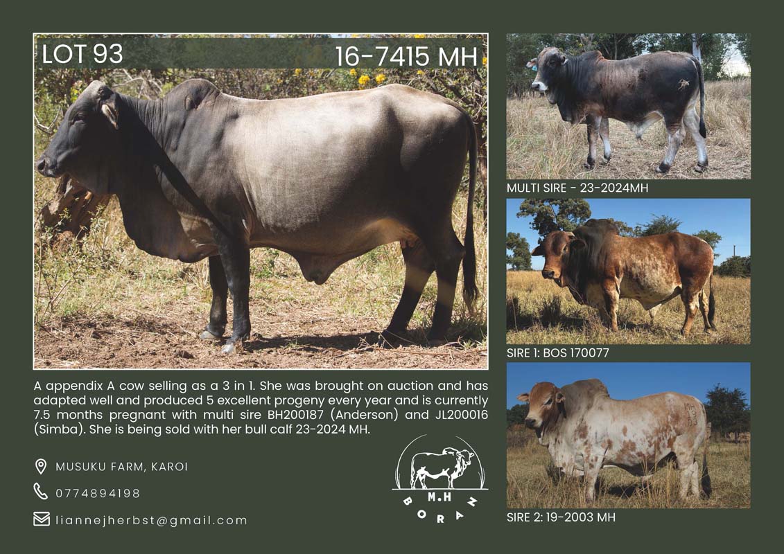 MH BORAN Catalouge_Page_3