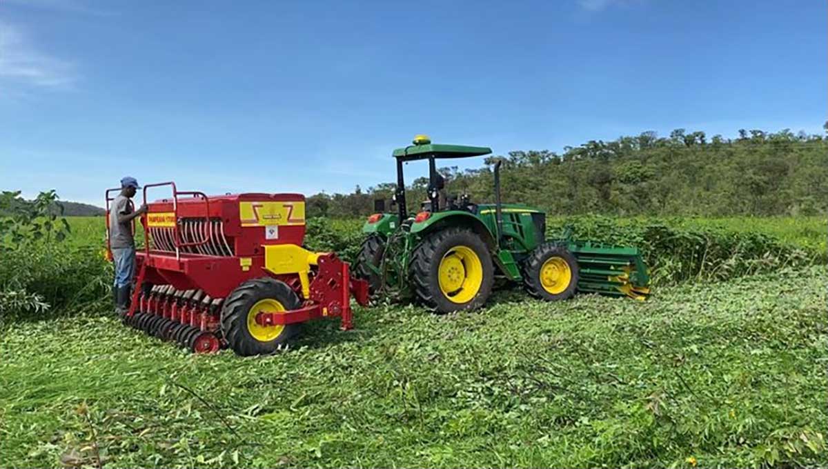 green-manure green-manure