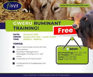 Fivet