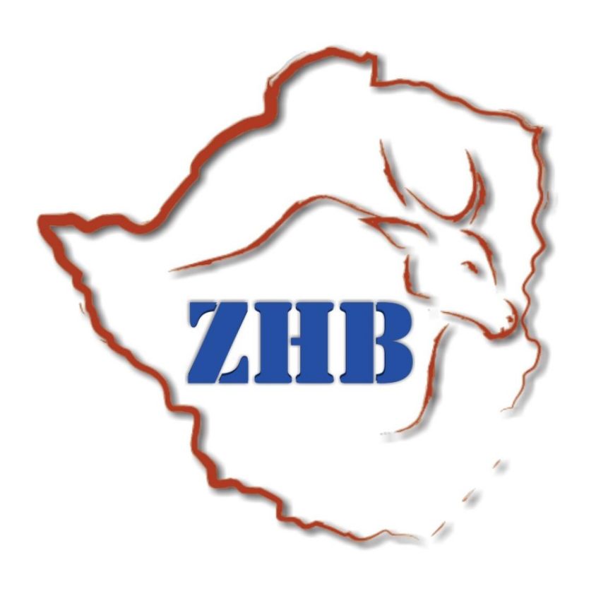 ZHB logo ZHB logo