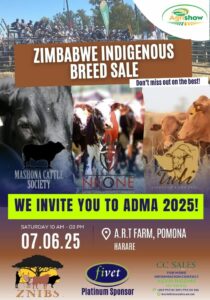 ADMA 2025