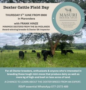 Dexter Cattle Field Day