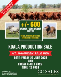 KOALA PRODUCTION SALE 27 JUNE 2025