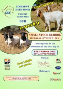 SMALL STOCK SCHOOL