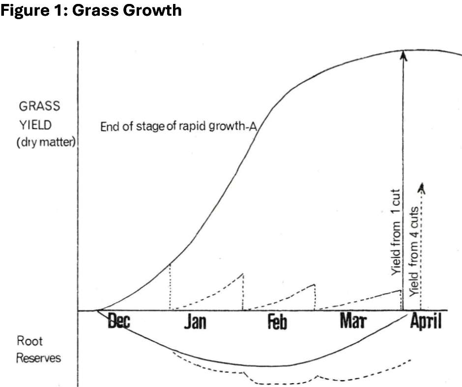 Figure 1 Illustrating grass growth curves and defoliation effects (the sigmoid S-shaped curve showing growth patterns and root reserves)
