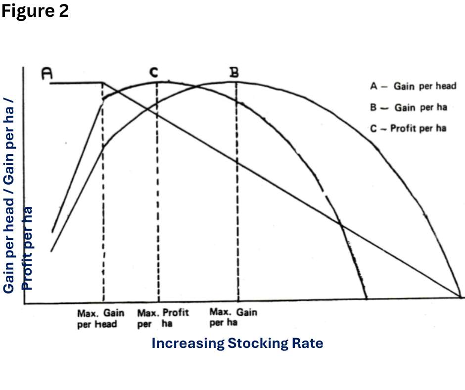 Figure 2 Showing the relationship between stocking rate and gain per animal/gain per hectare