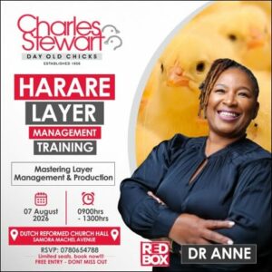 Harare Layer Management Training