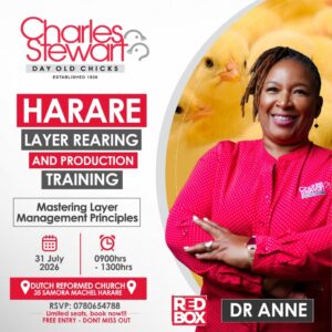 Harare Layer Rearing and Production Training