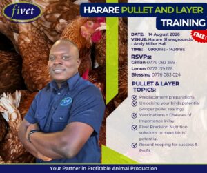 Harare Pullet and Layer Training