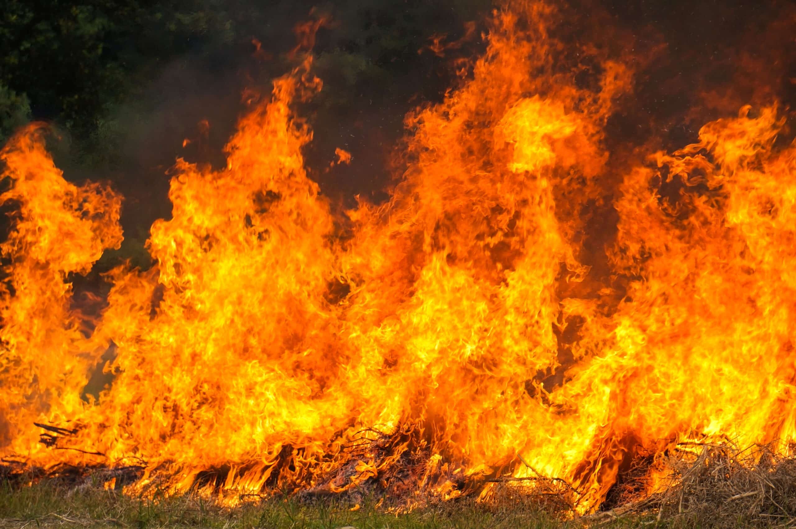 Veld-Fires